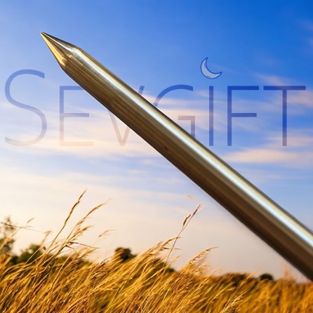 Sevgift