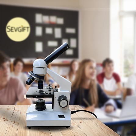 Sevgift