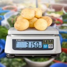 CAS SW II Dijital Hassas Terazi 30kg