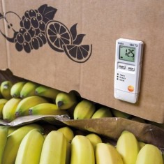 Testo 184-T3 Nakliye Araçları İçin Sıcaklık Kayıt Cihazı