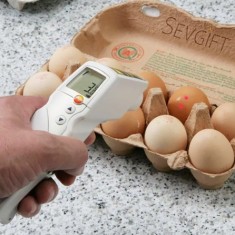 Testo 831 Gıdalar İçin Çift Lazerli Kızılötesi Termometre 210 °C